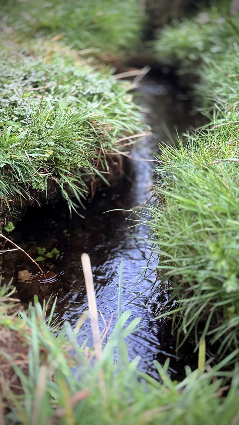 Die Einsamkeit der Strukturen – oder gibt es auch andere Arten im gleichen Habitat…?